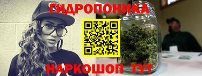 индика Чебаркуль