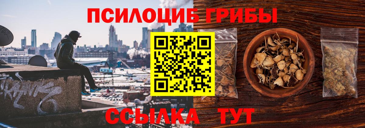 Псилоцибиновые грибы мицелий Малоярославец