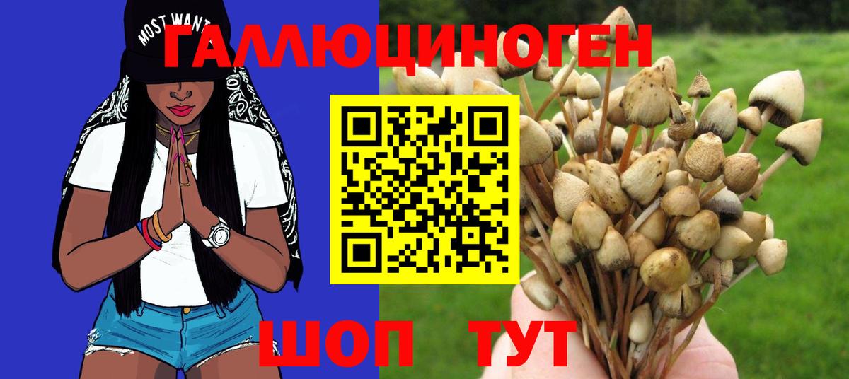 Малоярославец  Галлюциногенные грибы MAGIC MUSHROOMS  Вход с VPN 